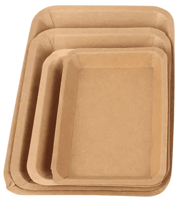 Paper Tray Foam